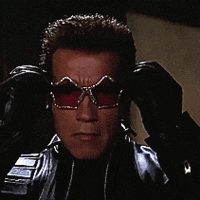 terminator_glasses_200.gif