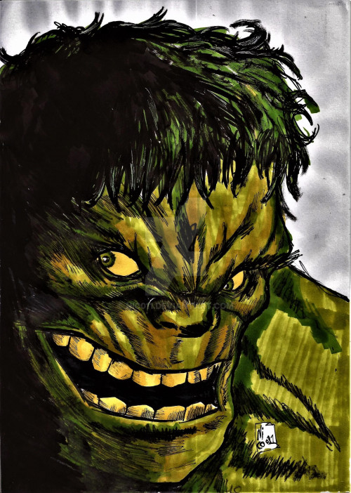 the immortal hulk by nic011 dd9n760 fullview