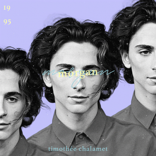 timothee.gif