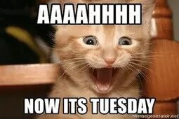 tuesday255.jpg