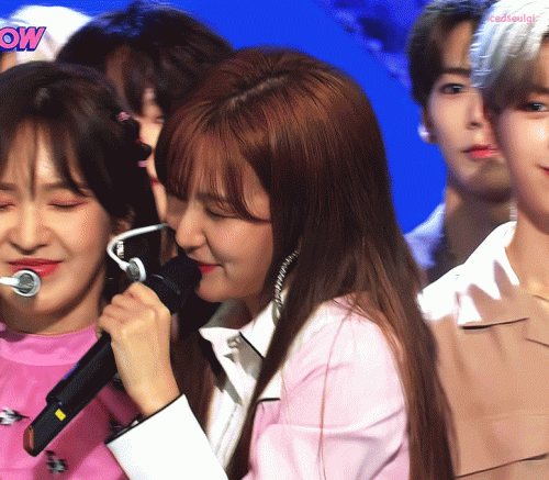 wenseul.gif